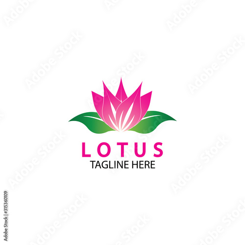 Vector lotus flowers design for spa  yoga class  hotel and resort