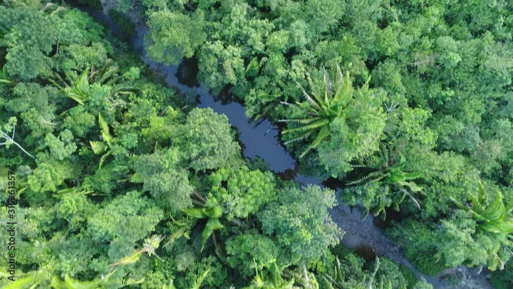 Flight over Mayan Mountains river in Central American Jungles