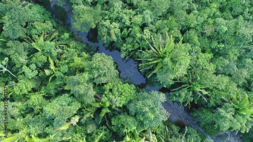 Flight over Mayan Mountains river in Central American Jungles