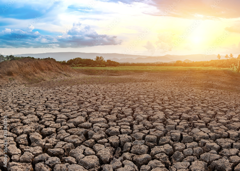 Fototapeta premium Cracked and dry soil in arid areas landscape, Drought crisis