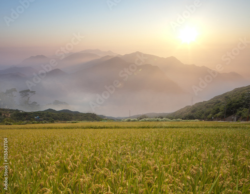 beautiful paddy place with nice mountain