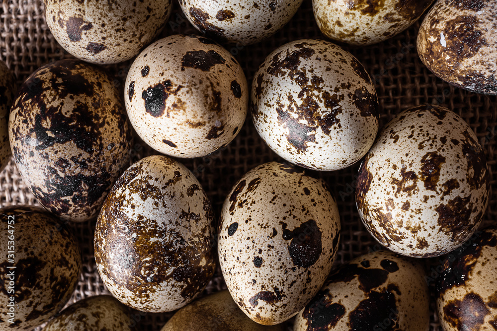 Quail eggs close-up. Dark background, burlap. View from above. The concept of organic natural products, protein food.