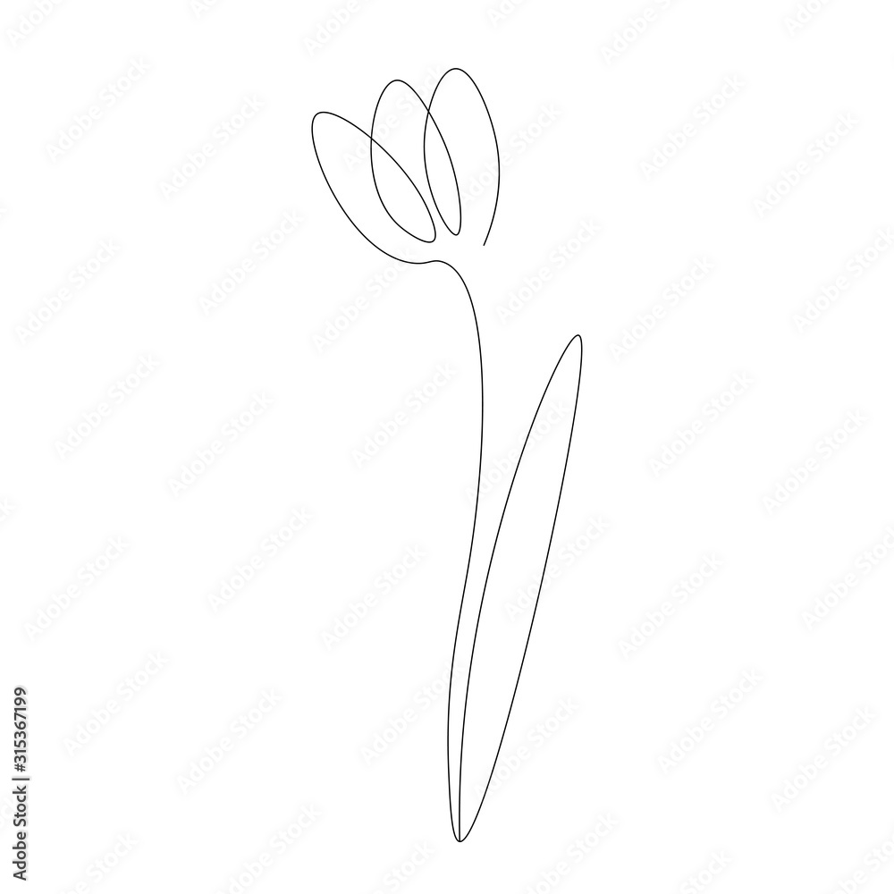 Flower tulip continuous line drawing vector illustration