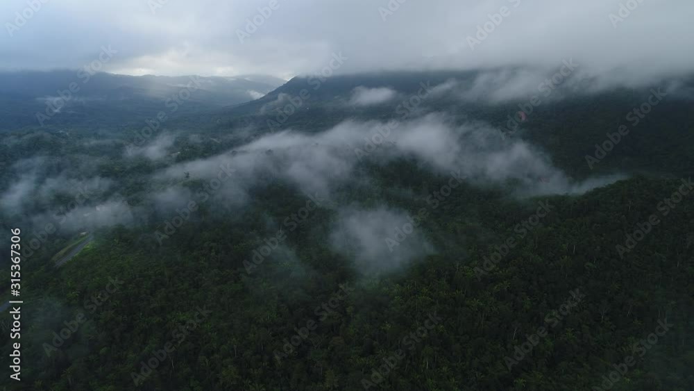 Flying above a jungle with clouds and mist Flying above a jungle with clouds and mist