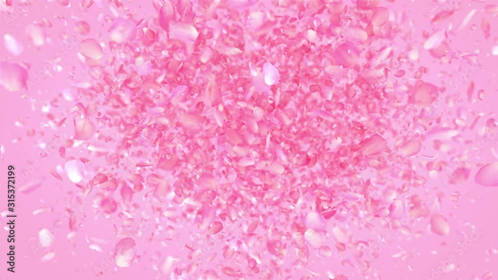 Pink Rose Petals Heart background Pink Rose Petals Heart background