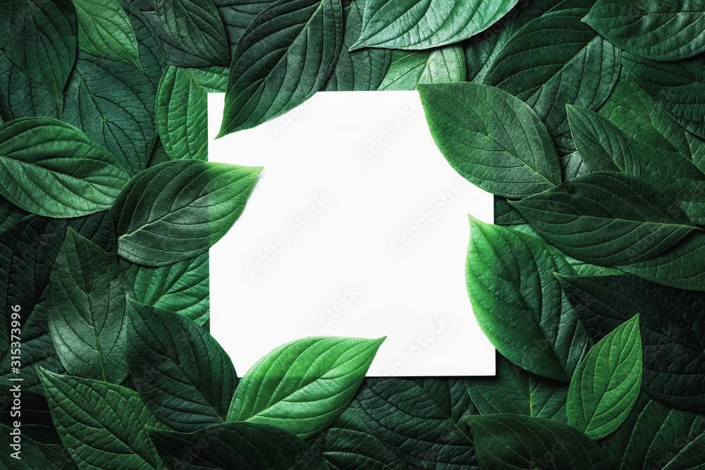 Paper card in green leaves pattern. Beautiful nature background. - obrazy, fototapety, plakaty 