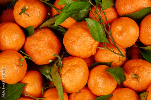 Orange tangerines with leaves close up.