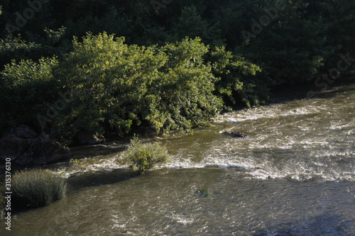 Fototapeta Naklejka Na Ścianę i Meble -  Vegetation in the river