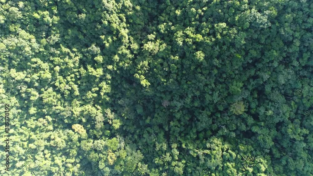 Flight over Mayan Mountains in Central American Jungles Flight over Mayan Mountains in Central American Jungles