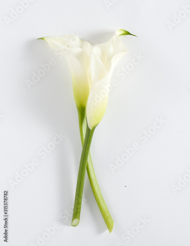 individual flower elements on white background