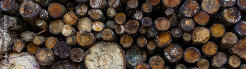 pile stacked natural old sawn wooden logs background