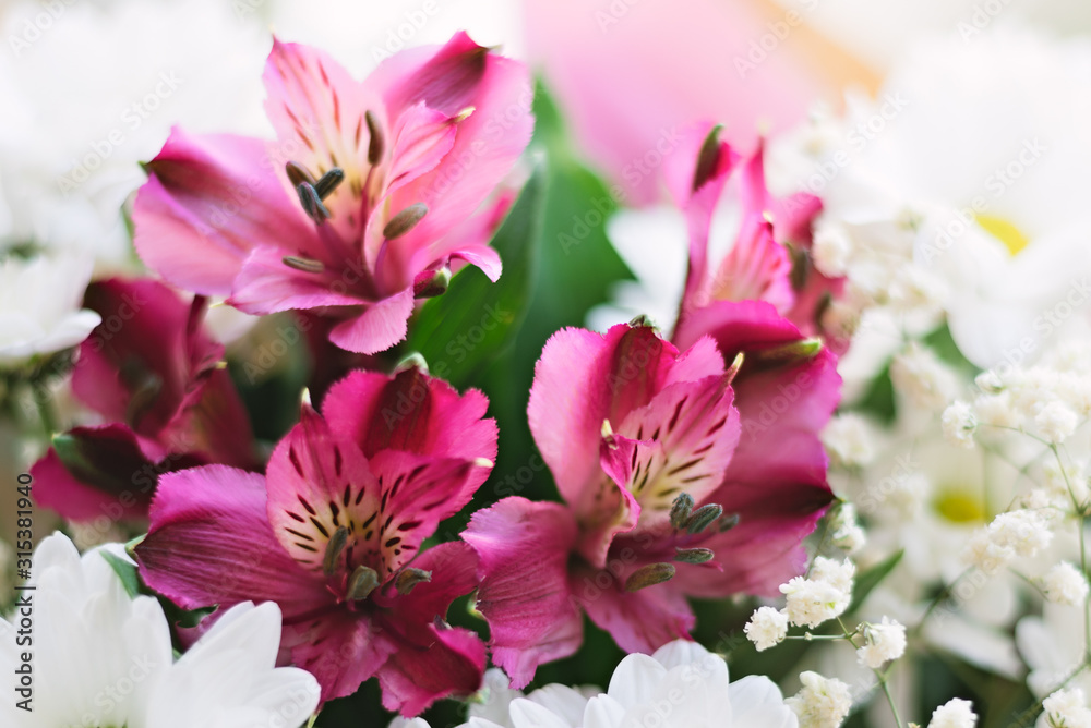 Floral composition of white chrysanthemum and rose Alstroemeria flowers.
