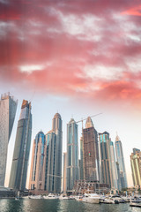 Fotobehang Koraal Dubai Marina skyline bij zonsondergang  © jovannig