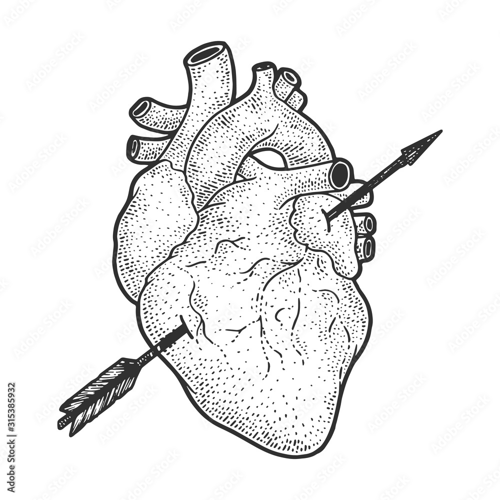 Heart realistic pierced with arrow sketch engraving vector ...