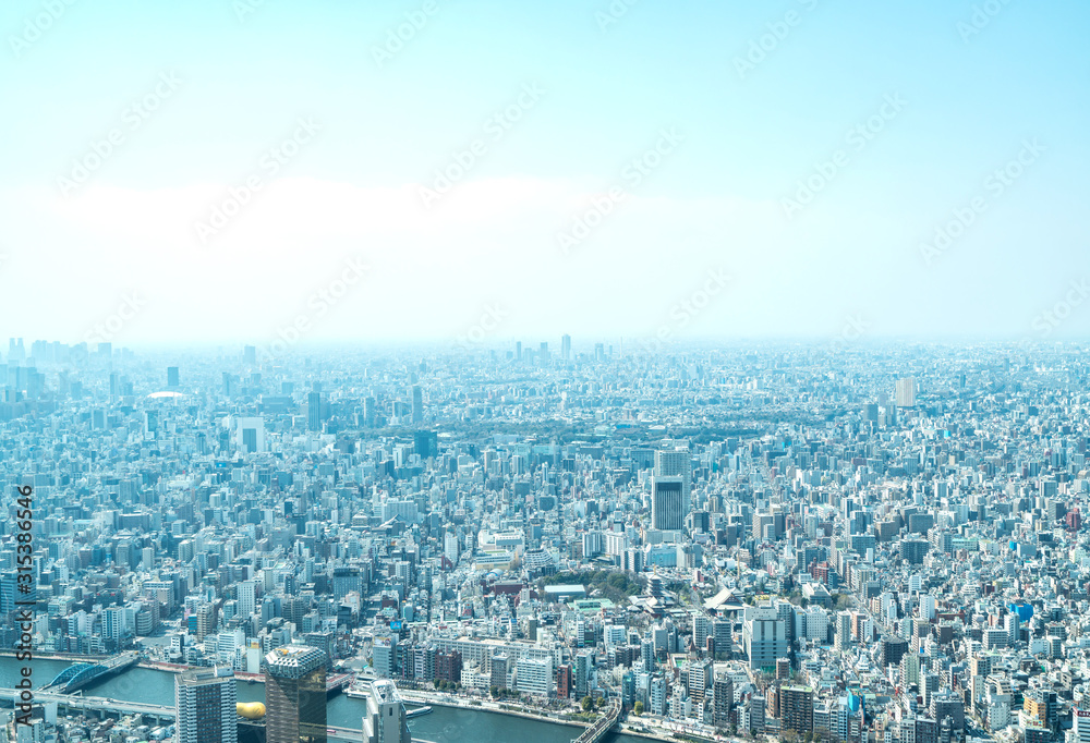Asia business concept for real estate and corporate construction - panoramic urban city skyline aerial view under sky in tokyo, Japan
