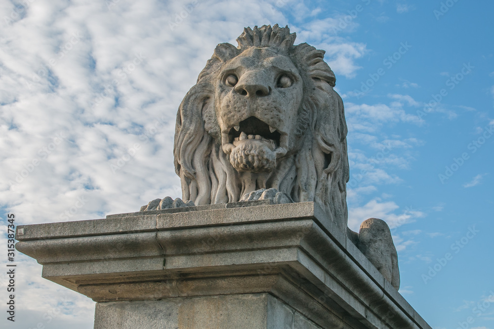 Detail of lion in the famous chain bridge of Budapest, Hungary