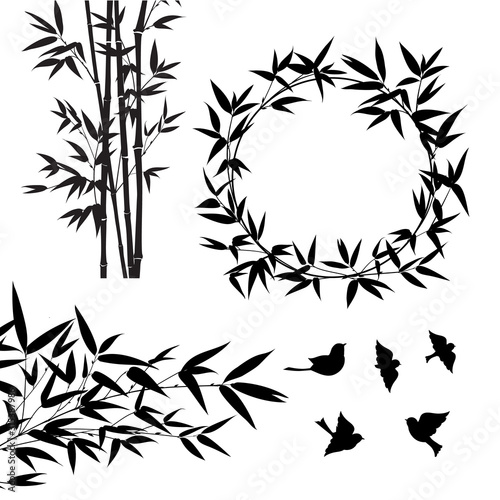 Fototapeta Naklejka Na Ścianę i Meble -  Set of tropical bamboo elements. Collection of palm leaves on a white background. Vector illustration bundle.