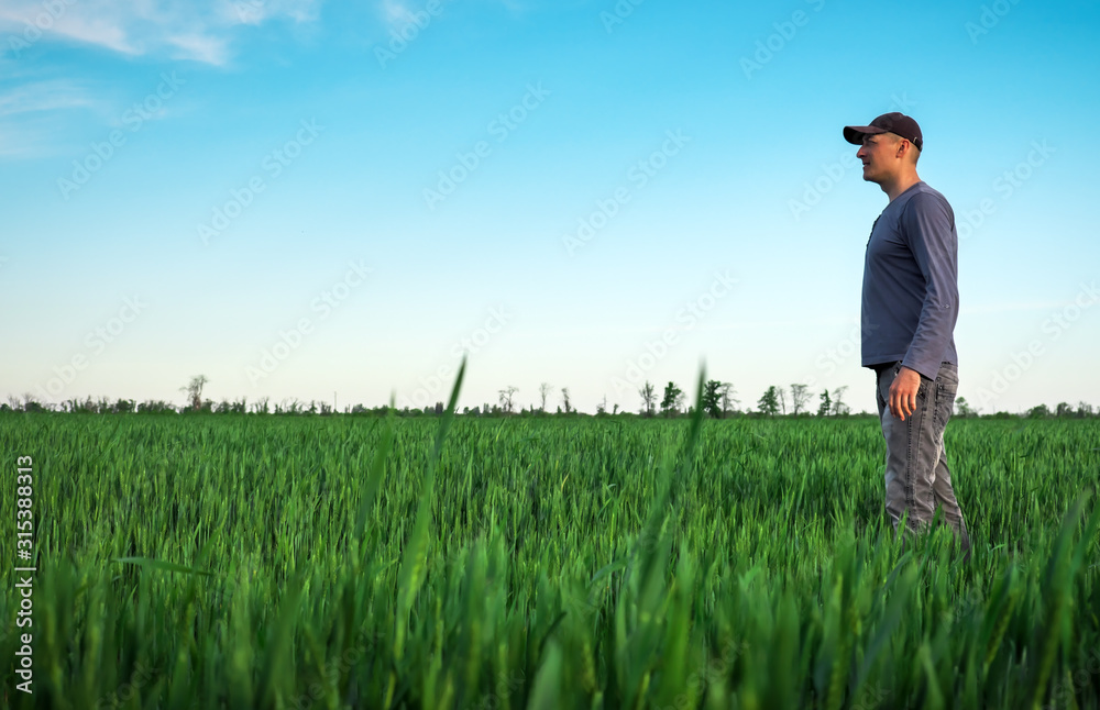 Handsome farmer. Young man walking in green field. Spring agriculture. Handsome farmer. Young man walking in green field. Spring agriculture.