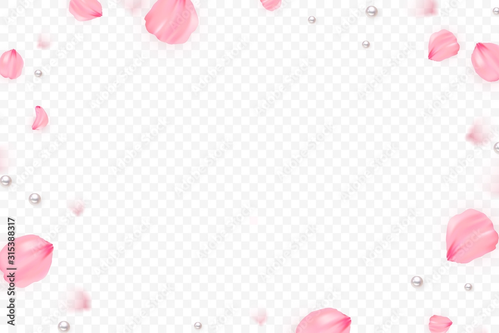 Pink sakura falling petals vector 