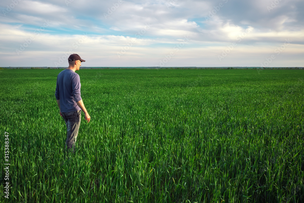 Handsome farmer. Young man walking in green field. Spring agriculture.