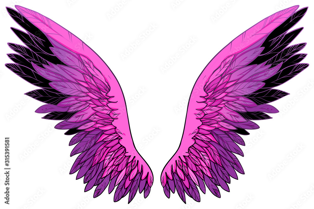 Obraz premium Spreaded pink magenta fuchsia wings with black feathers, vector