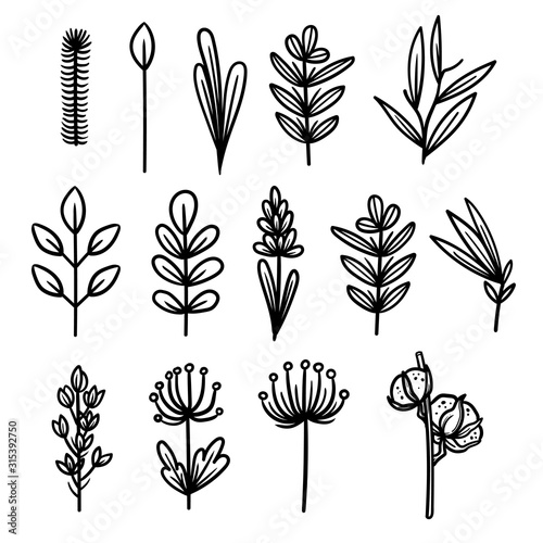 vintage vector icons with floral elements. summer flower and leaf elements.