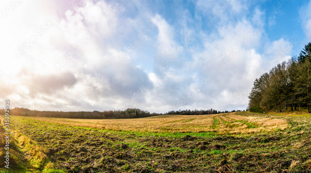 Rural panorama landscape in the morning