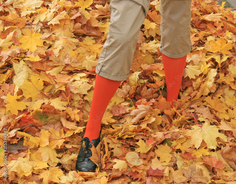 woman standing in autumn leaves woman standing in autumn leaves