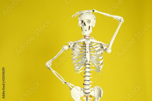 Artificial human skeleton model on yellow background