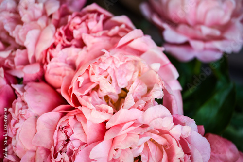 Fototapeta Naklejka Na Ścianę i Meble -  beautiful natural pink peonies close up