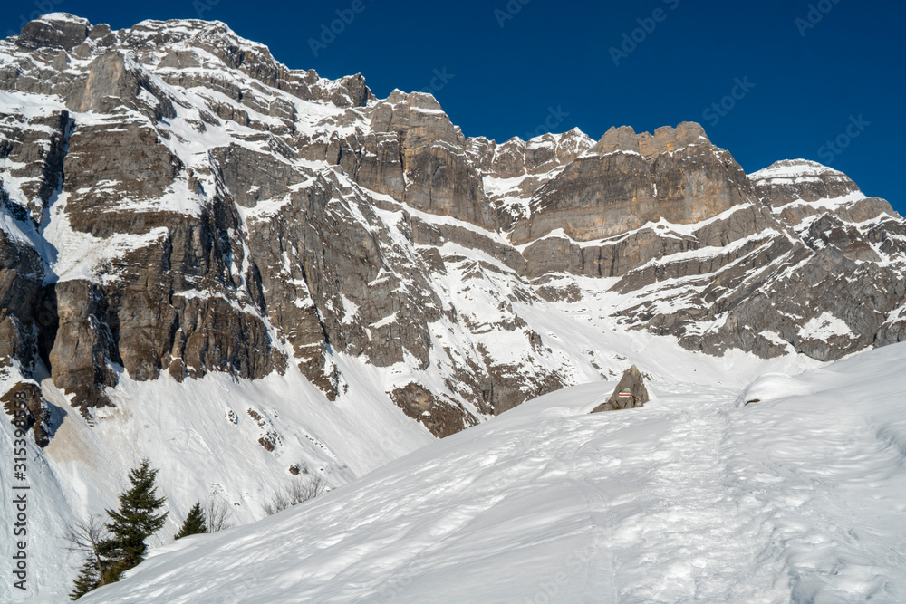 Alpine Schneeschuhwanderung