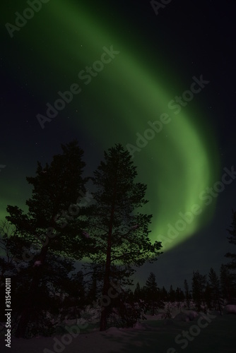 Polar lights, northern lights in Lapland Finland. "auroral oval" © robin