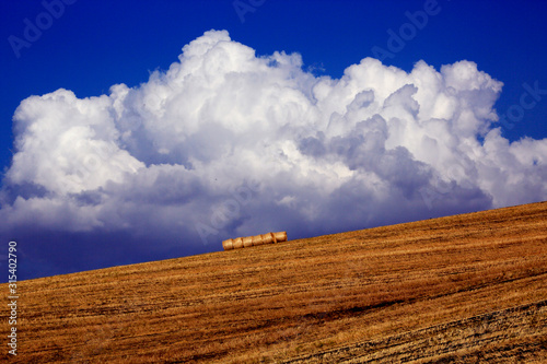 Summer landscapes