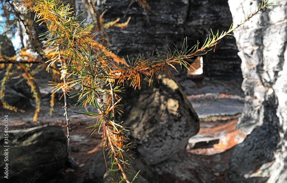 Obraz premium rocky path