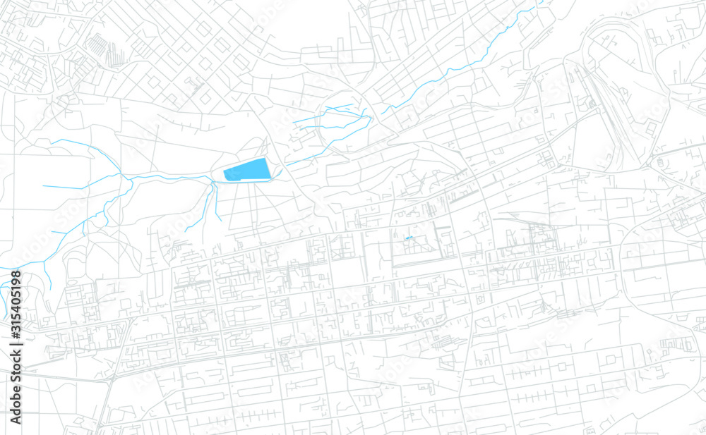 Stavropol, Russia bright vector map