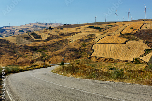 Summer landscapes