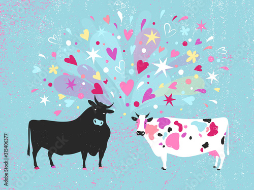 Vector illustration of a cow and a bull falling in love at first sight. Happy Valentine's day greeting card.