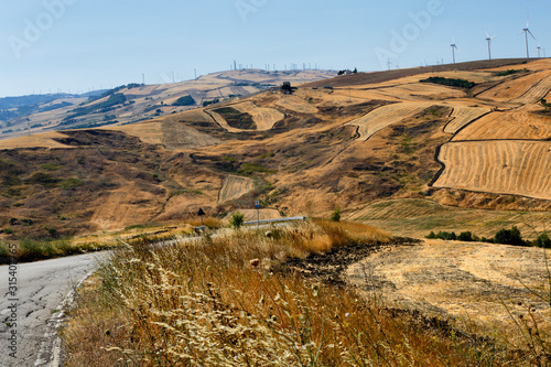 Summer landscapes