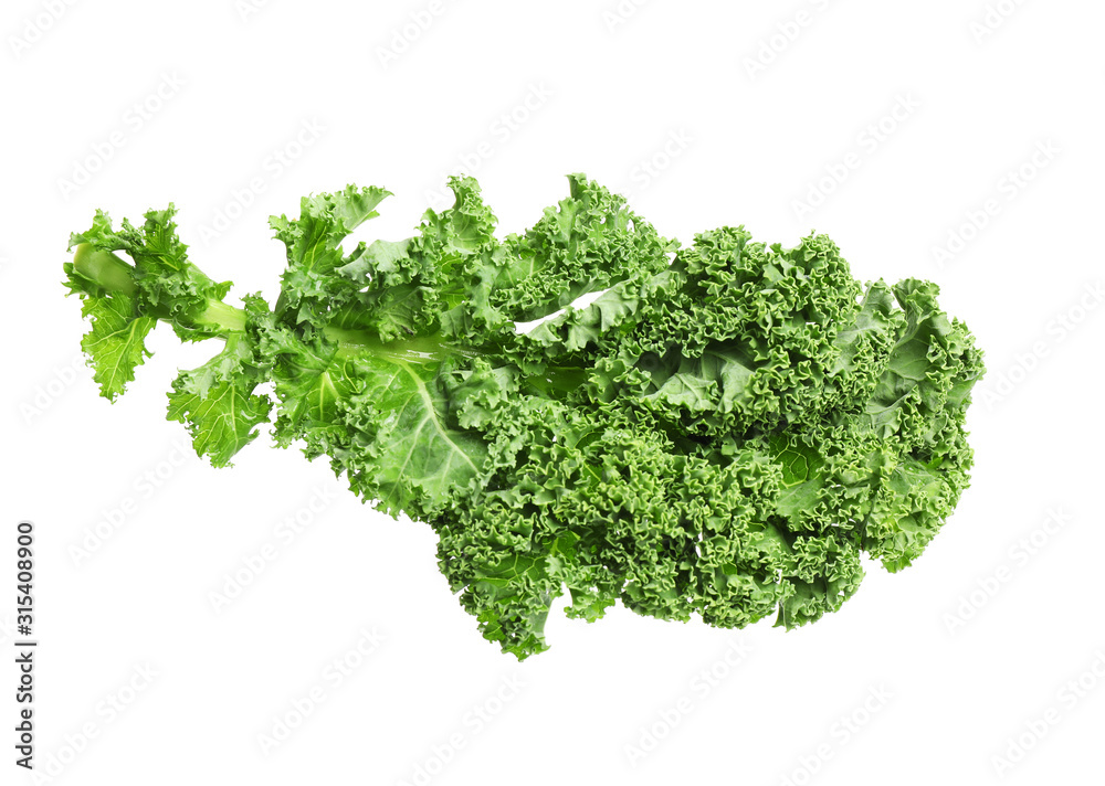 Fresh green kale leaf isolated on white Fresh green kale leaf isolated on white