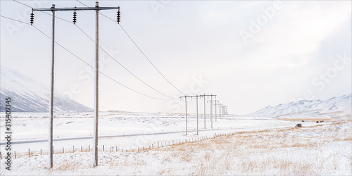 wires in the snow 