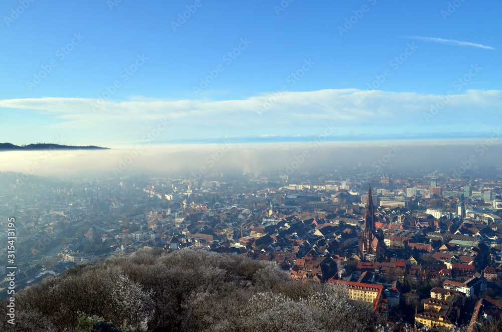 Fototapeta premium Freiburg im Nebel