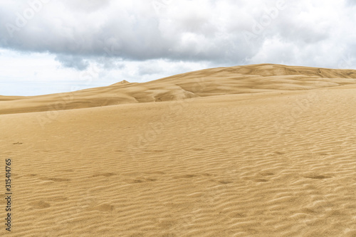 Giant Sand Dunes  New Zealand