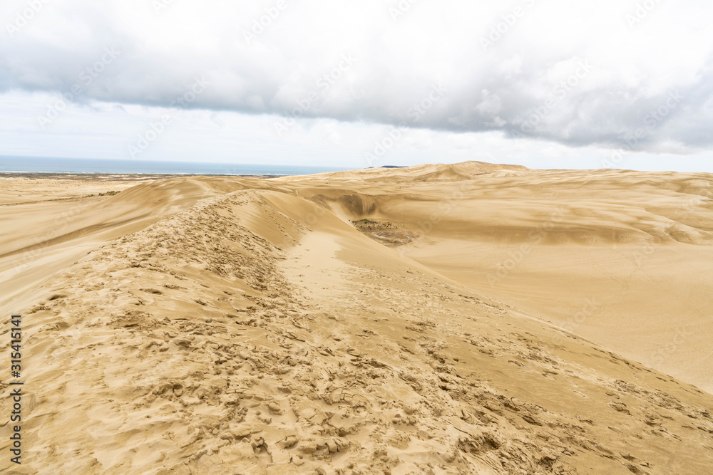 Giant Sand Dunes, New Zealand