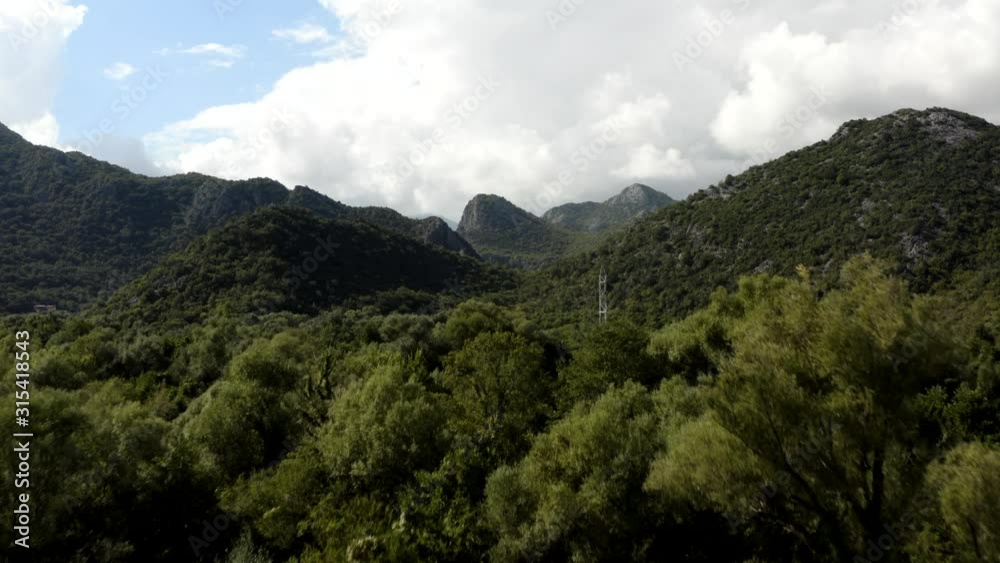 Power Pole in National Park showing issue between Ecology and Economy in National Park Lake Skadar in Virpazar Montenegro (aerial, drone) Power Pole in National Park showing issue between Ecology and Economy in National Park Lake Skadar in Virpazar Montenegro (aerial, drone)