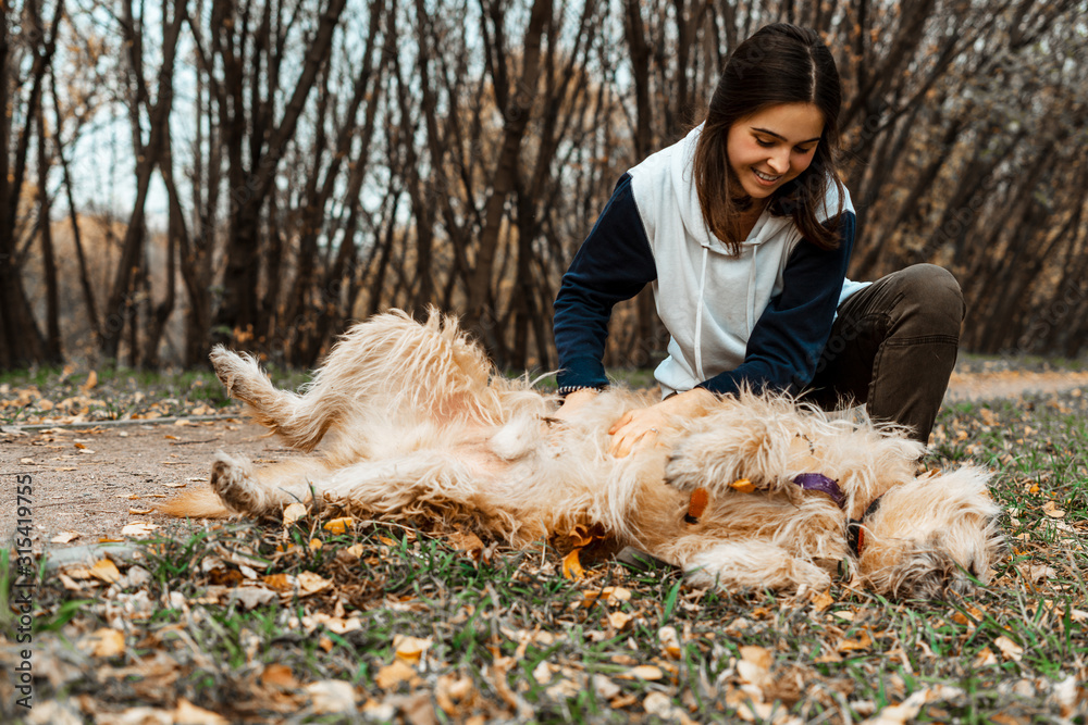 Animal training. A volunteer girl walks with a dog from an animal shelter. Girl with a dog in the autumn park. Walk with the dog. Caring for the animals. Animal training. A volunteer girl walks with a dog from an animal shelter. Girl with a dog in the autumn park. Walk with the dog. Caring for the animals.