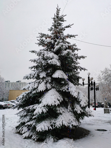 Moscow, Russia - January 11, 2020: Decorated Christmas tree in residential area, covered with snow photo
