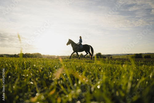 Woman riding horse on a field in the countryside at sunset