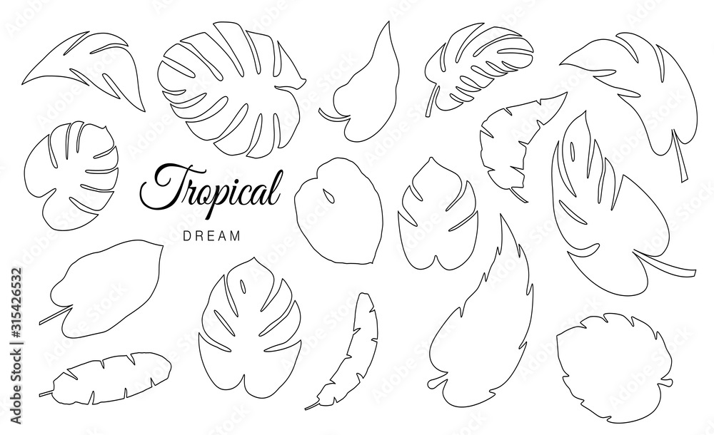 Tropical Leaves Vector Collection Tropical Leaves Vector Collection