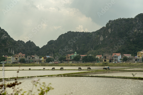 Trockene Halong Bucht Vietnam