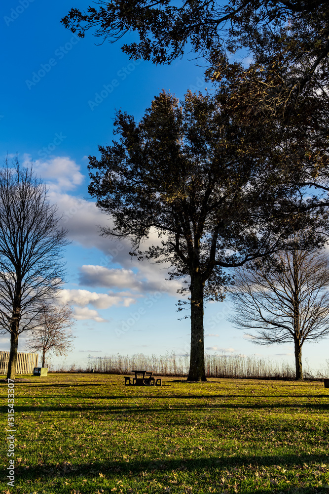Obraz premium A silhouette of trees over the green grass and a picnic table at a rest stop in the middle of the Midwest near Illinois, USA.